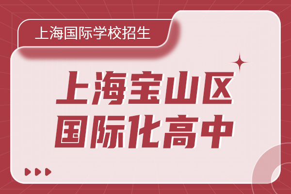 坐标宝山想在家门口读国际高中，有哪些学校可选？