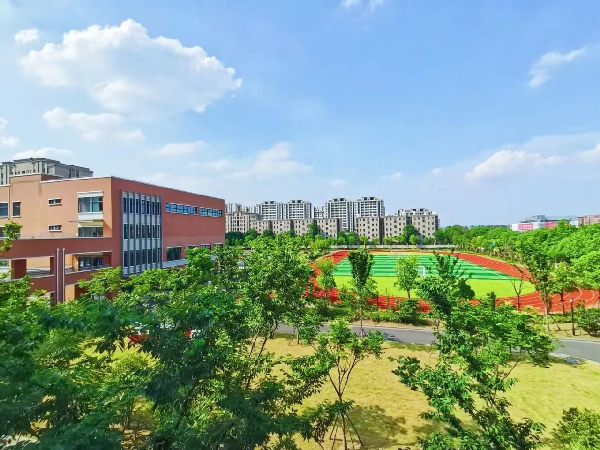 普娃逆袭！中考后转轨国际学校，上海这9所宝藏学校值得冲