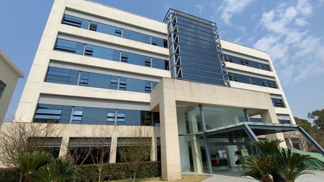 中考后转轨瞄准香港升学，上海有哪些开设DSE课程的国际高中？