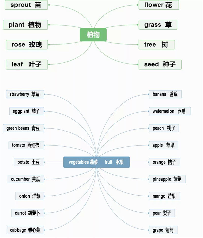 思维导图 速记 小学英语单词