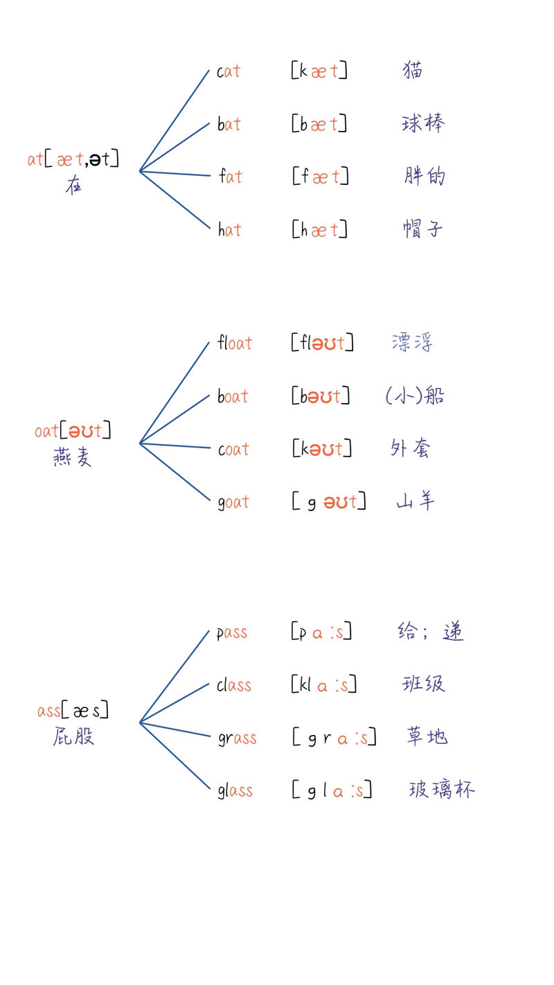 秒记单词秘籍 小学900词