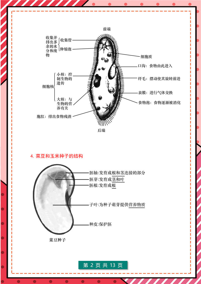 7年级-8年级生物识图题-模板整理(大全版)