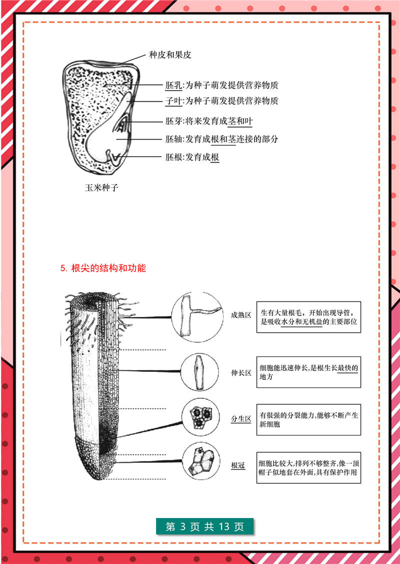 7年级-8年级生物识图题-模板整理(大全版)