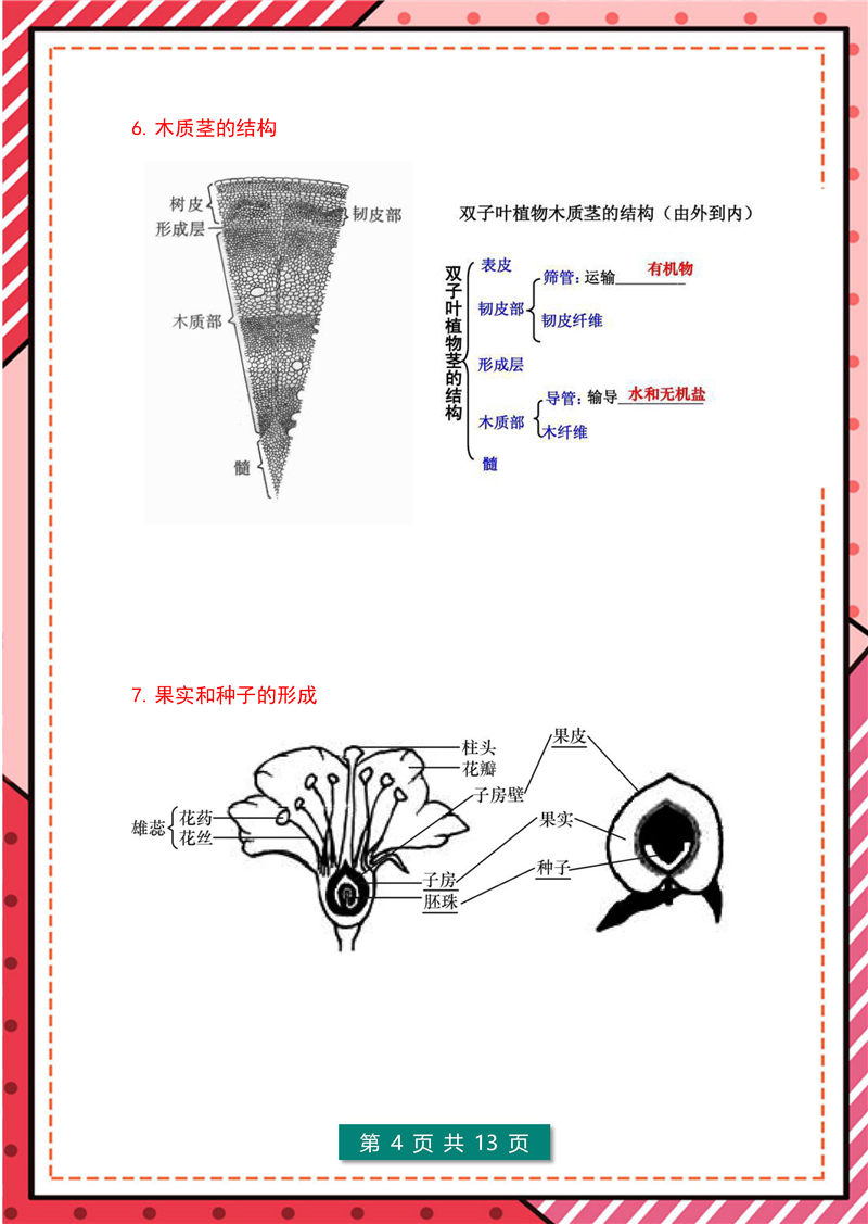 7年级-8年级生物识图题-模板整理(大全版)