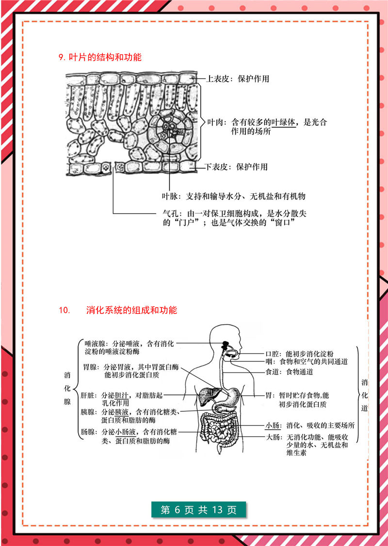 7年级-8年级生物识图题-模板整理(大全版)