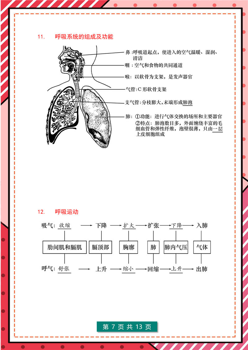 7年级-8年级生物识图题-模板整理(大全版)