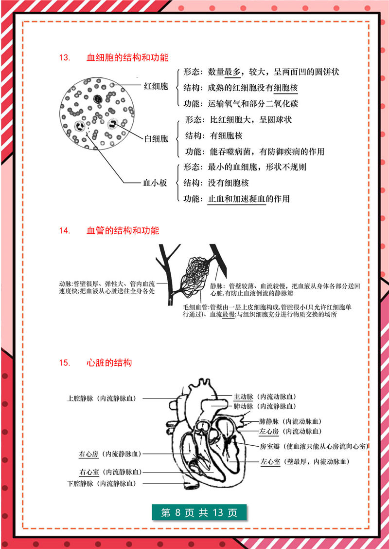 7年级-8年级生物识图题-模板整理(大全版)