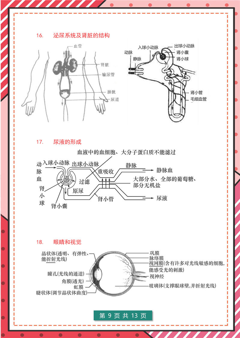 7年级-8年级生物识图题-模板整理(大全版)