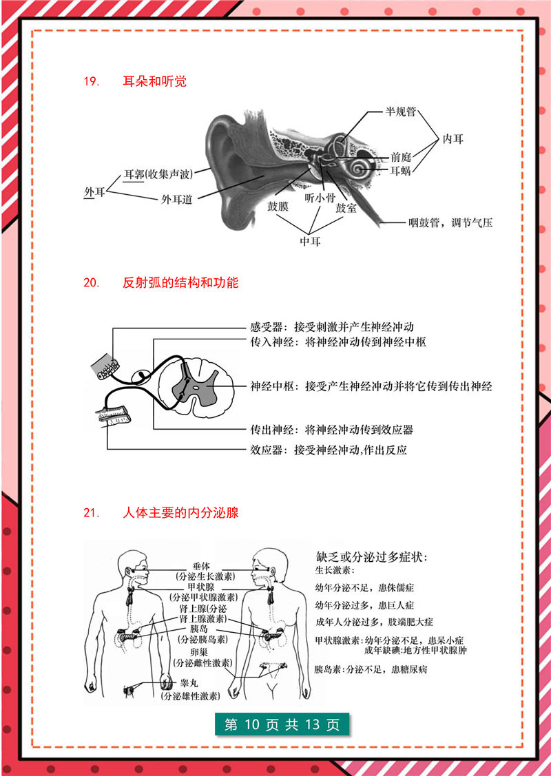 7年级-8年级生物识图题-模板整理(大全版)