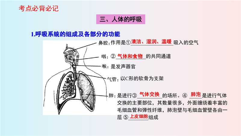 七年级下册 重点知识梳理+思维导图 (2022年）