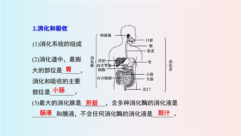 七年级下册 重点知识梳理+思维导图 (2022年）