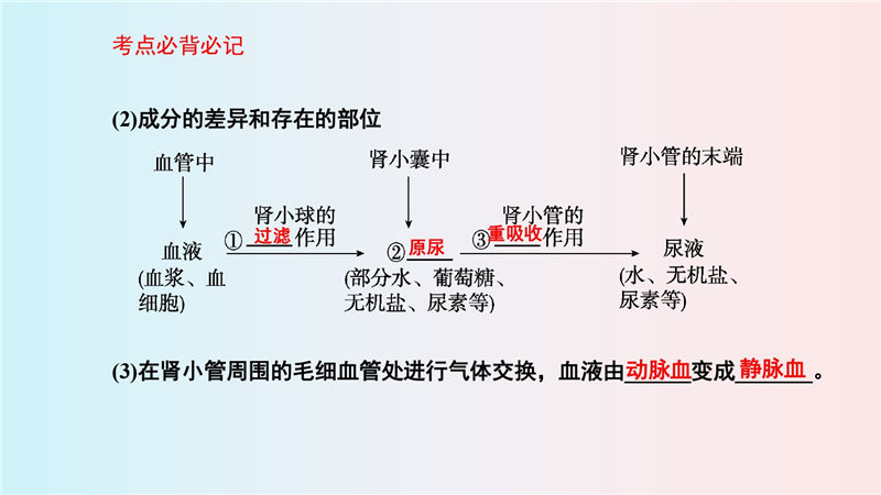 七年级下册 重点知识梳理+思维导图 (2022年）