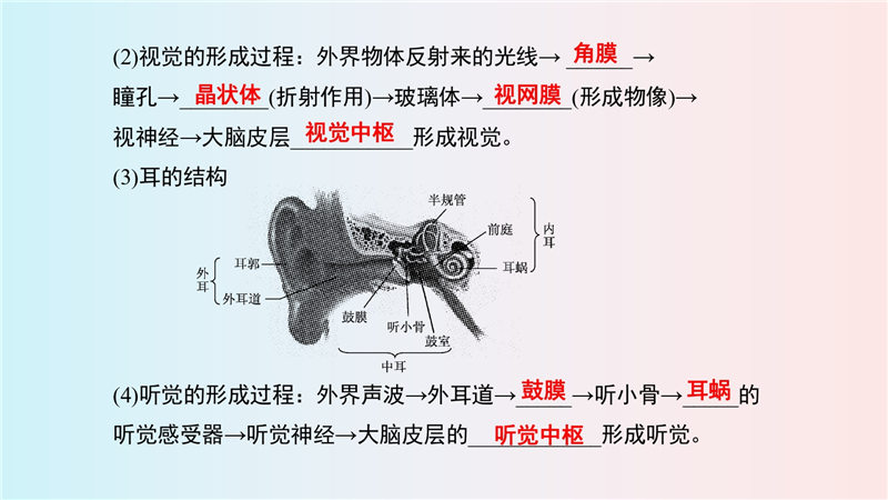 七年级下册 重点知识梳理+思维导图 (2022年）