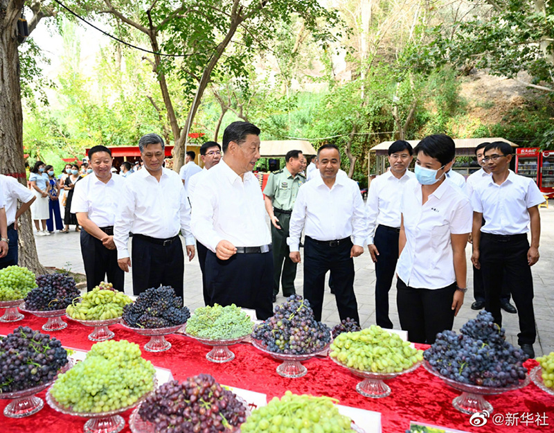 习近平在新疆吐鲁番市考察调研