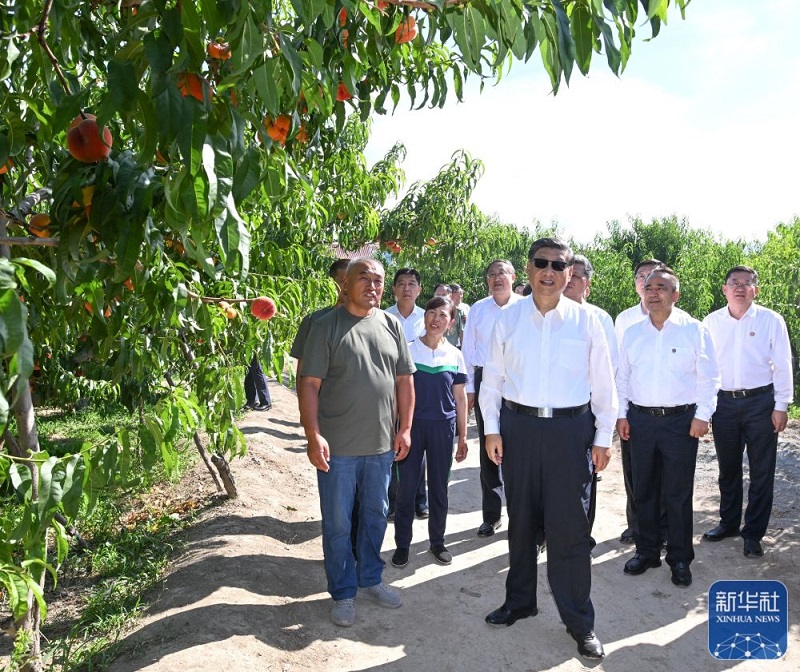 习近平：建设团结和谐繁荣富裕文明进步安居乐业生态良好的美好新疆