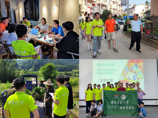 福建农林大学“红雁班”乡村振兴实践队走进武夷山