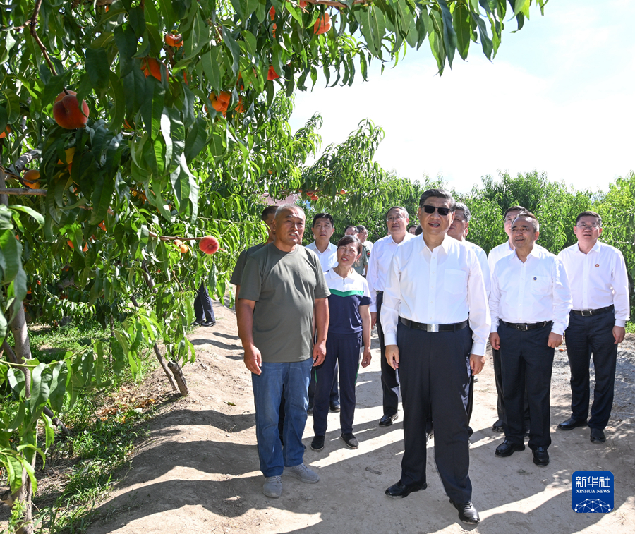 习近平：完整准确贯彻新时代党的治疆方略　建设团结和谐繁荣富裕文明进步安居乐业生态良好的美好新疆