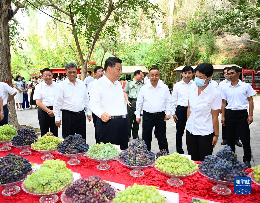 习近平：完整准确贯彻新时代党的治疆方略　建设团结和谐繁荣富裕文明进步安居乐业生态良好的美好新疆