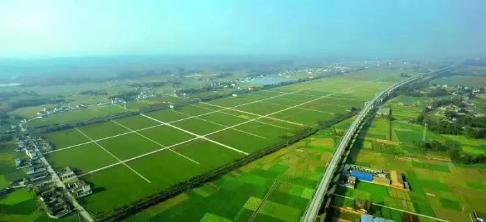 【四川优秀教师典型代表风采】马均：躬耕青青田园，只为稻花飘香