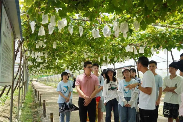 福建学子在“行走的课堂”中践行青春担当