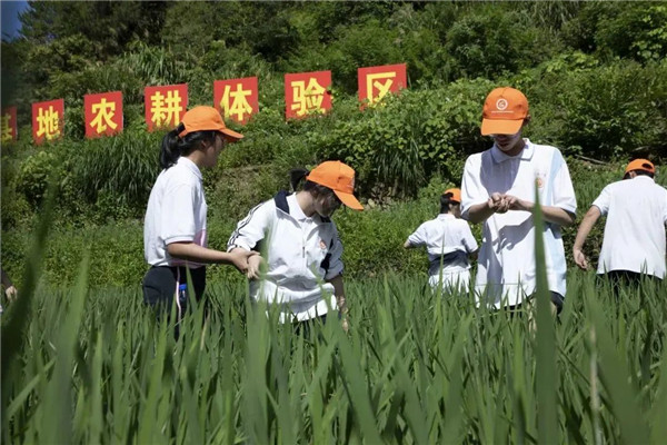 福建各地夏令营活动火热开展