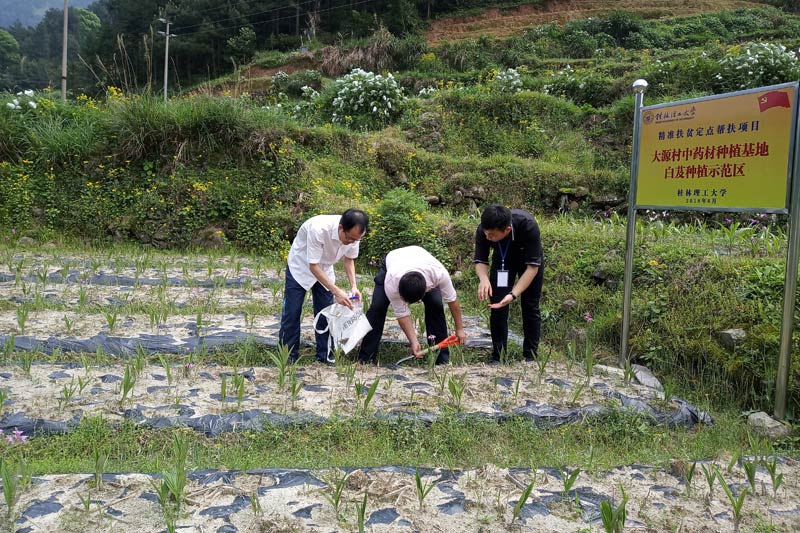 【助力乡村振兴】桂林理工大学：用科研创新成果绘就美好乡村蓝图