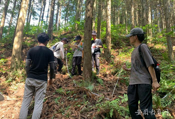 安徽农业大学在林间地头上一堂火热的“三农”思政大课