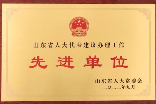 省教育厅办公室被评为山东省人大代表建议办理工作先进单位