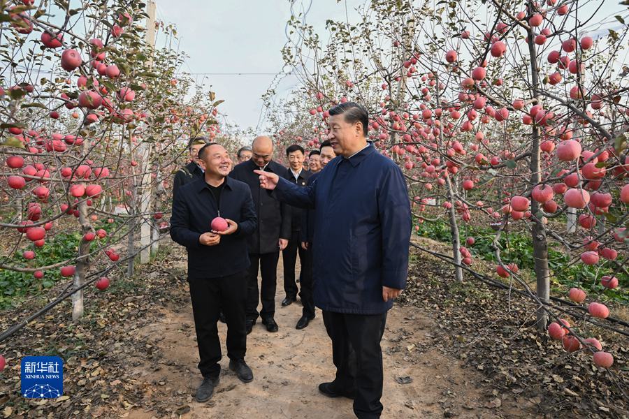 习近平在陕西延安和河南安阳考察时强调 全面推进乡村振兴 为实现农业农村现代化而不懈奋斗