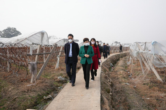 市委教育工委、市教育局春节前走访慰问定点帮扶村
