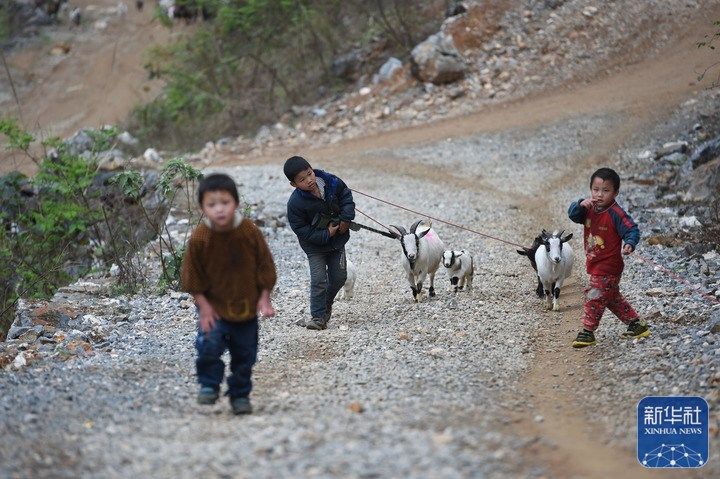 新华社：“天梯少年”兄弟十一年成长纪实