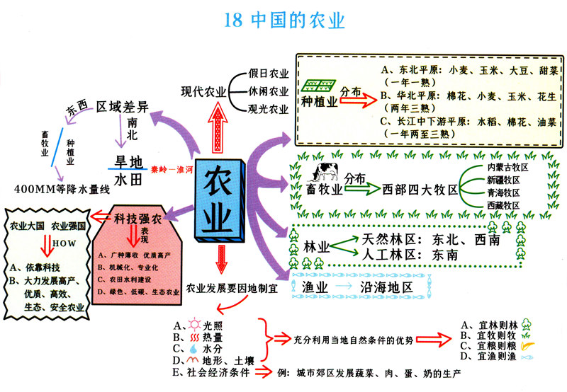 初中地理(1-4册) 思维导图（脉络图）+考点梳理