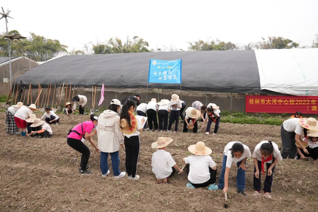 2023年全区中小学劳动教育现场推进会在桂林召开