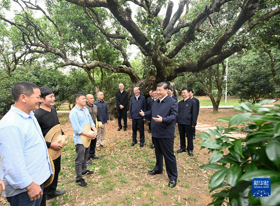 习近平在广东考察时强调 坚定不移全面深化改革扩大高水平对外开放在推进中国式现代化建设中走在前列