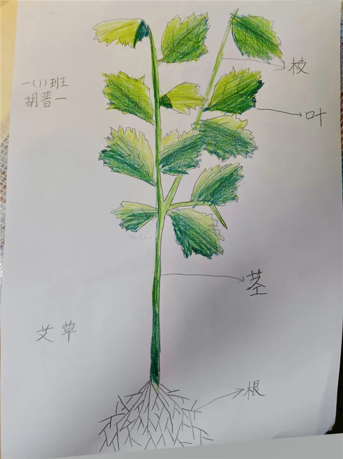 河南中小学生这样过端午