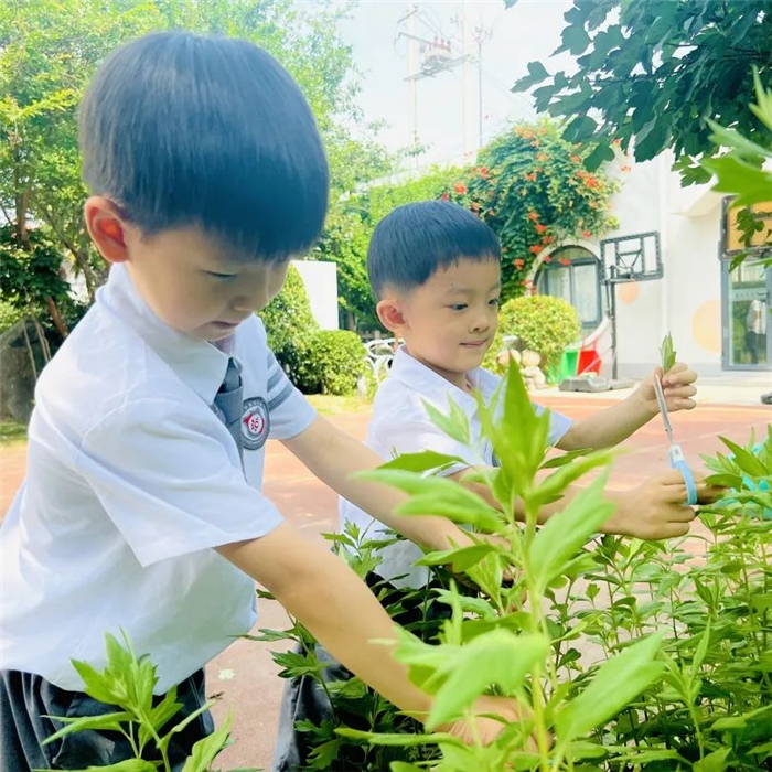 河南中小学生这样过端午