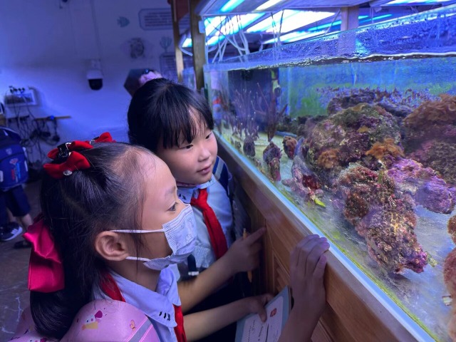 中国教育报：探索，从这里出发——广西大中小一体化协同推进科技教育